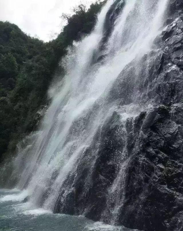 芭比的大学之旅